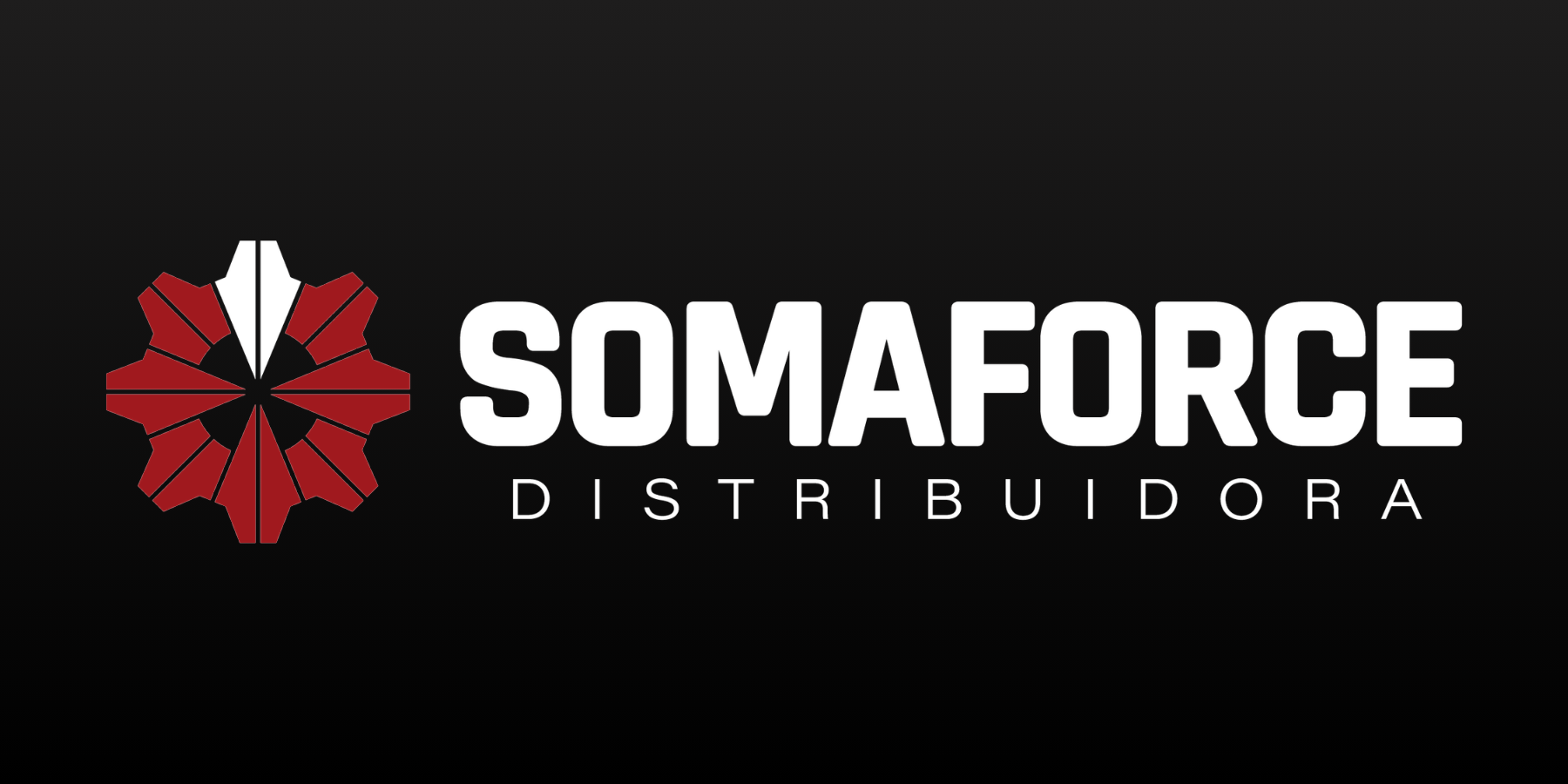 Imagem principal do case Somaforce: 12 líderes formados para que o planejamento estratégico saísse do papel